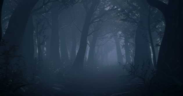 forest